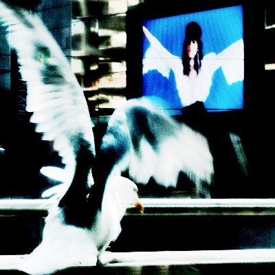 Professore di diritto tributario @unito | Avvocato |
Pensieri sul fisco, nostro e degli altri | Sul fisco che abbiamo e su quello che potremmo avere|