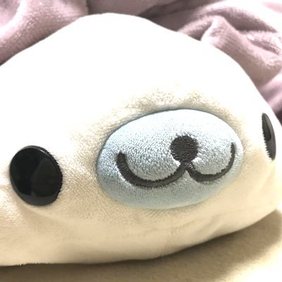 みゃーみゃさんのプロフィール画像