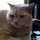 Becky Knowles - @blanchelib - Twitter