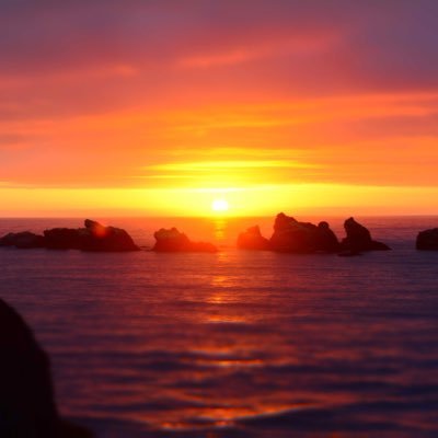 KS7YWLs0qFsRyI5's profile picture. 子育て中。