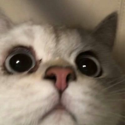 k_kmbrliii's profile picture. 