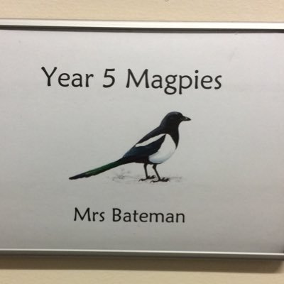 MrsBateman4's profile picture. Y5 teacher at Mansel Primary