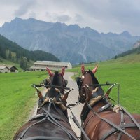 علي (@alialjardan01) 's Twitter Profile Photo