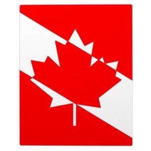 Divebutt's profile picture. 