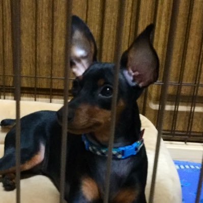tamashuunoo's profile picture. 木根さんのライブのレポ用アカウント。だったのですが甘いモノもつぶやきます。筆不精なので不定期につぶやきます。いわゆるネタバレするかもしれません。無言フォロー🆗です。