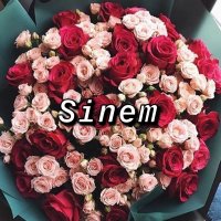 Sinem’e Tweetler (@sinemtweetler) Twitter profile photo