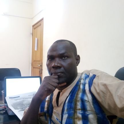 Informaticien au Fond d'appuis à la promotion de l'emploi. Ministère de la jeunesse du Burkina.
Président de l'organisation communautaire OCDDEP-BF.