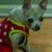 yuki0824's profile image