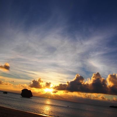 tomatotomatoao's profile picture. 思ったこといろいろ。ほぼ文句。