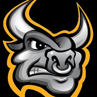 conveyabull's profile picture. We haul aggregates and asphalt for major infrastructure projects throughout U.S.A.