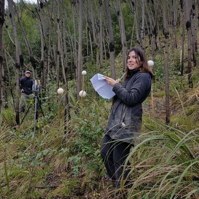 @TreeDi1 doctoral researcher working with Terrestrial Laser Scanning to understand the dynamics of the canopy space filling.