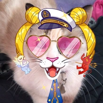 Visba_Goma's profile picture. A veces los sueños se pueden volver pesadillas.