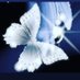 MzTree (@rhondaroundtree) Twitter profile photo MzTree (@rhondaroundtree) Twitter profile photo