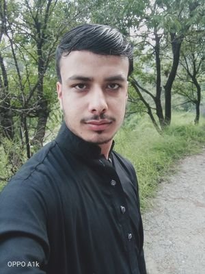 SharjilzafarSh1's profile picture. English