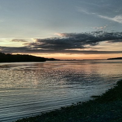 Gerri_Hynes's profile picture. 