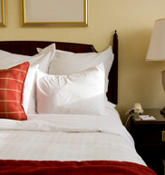 Got bedbugs? We'll handle it! Assured Environments has been the leader in NY, NJ, and CT pest control for over 70 years.