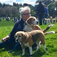 Helena McGivern (@helena_mcgivern) 's Twitter Profile
