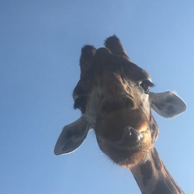 samfloy55869644's profile picture. Love life and my family