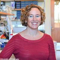 Palmer Lab (@amypalmerlab) 's Twitter Profile Photo Palmer Lab (@amypalmerlab) 's Twitter Profile Photo