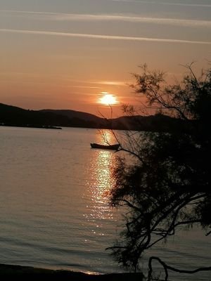 picotas64's profile picture. aeiou