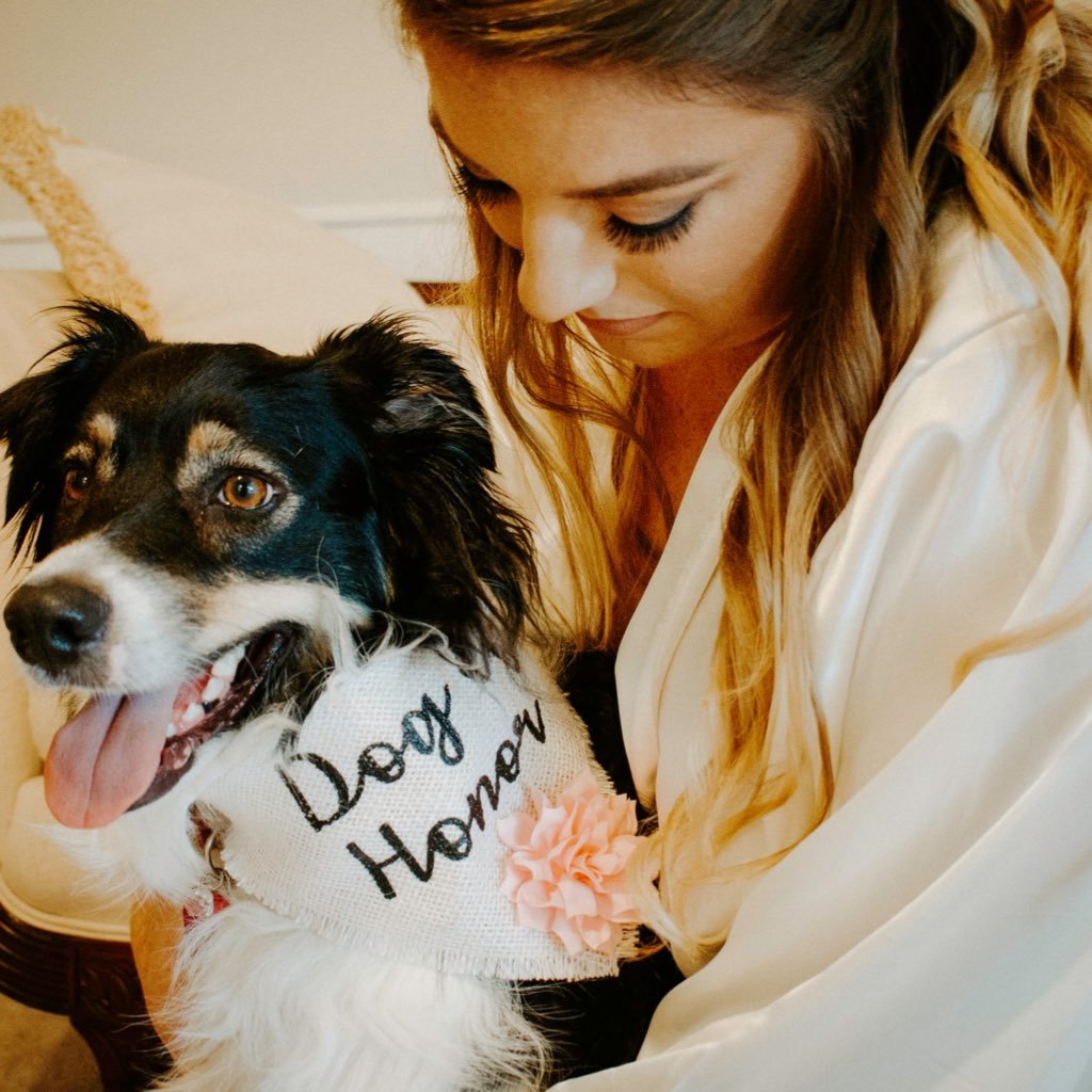 My passions include human rights and my 🐶