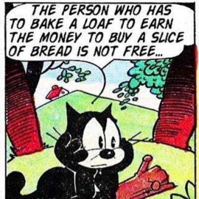 OrionFisher5's profile picture. Educational Account with Socialist Characteristics