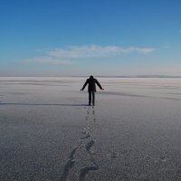 Thomas (@sealythomas) 's Twitter Profile