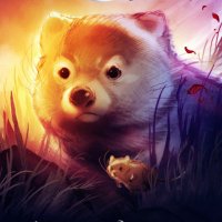 Walker William Ranson (@walkerranson) 's Twitter Profile