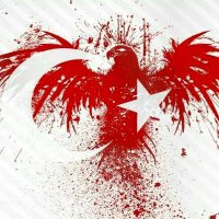 Diriliş Türkiye 🇹🇷(@DirilisTurkiye2) 's Twitter Profile Photo