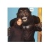 Aparna (@aparna_sn) Twitter profile photo Aparna (@aparna_sn) Twitter profile photo