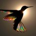 Cristina García (@cristin87335373) Twitter profile photo Cristina García (@cristin87335373) Twitter profile photo
