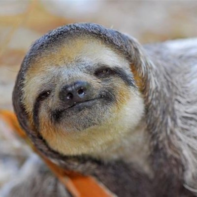 Floxigen's profile picture. Ma vie est un Gag