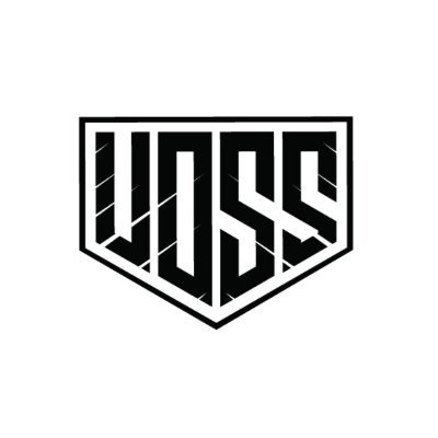 Voss_Helmets's profile picture. For the biker community. Ride with us!