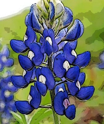 BluebonnetMoCo's profile picture. https://t.co/V7jA95CLj6 is the only online news source covering all of Montgomery County.