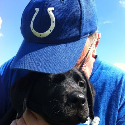 Colts Passionate. Love all things IU. Black Lab softie. Adore USA but so tired of Wash D.C. partisan politics and hate from both parties.