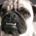 Aaron Nunes - @DucatiPower - Twitter