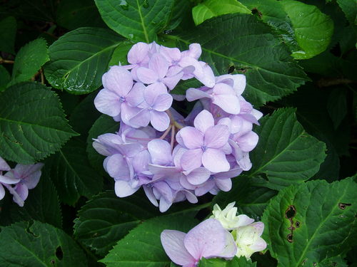 doyla212's profile picture. 