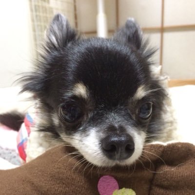 Kirin マーロ やっぱり男は マーロ じゃん Maro があるじゃん 爽快じゃん キャンペーン 超爽快マーロ ドライシャンプー ボディシートのセットが名様に当たる 動画を見て 斎藤工 さんが最後に口パクしている言葉を選ぼう 公式