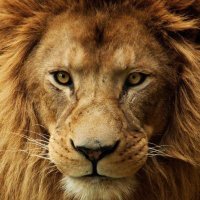 Hakan Dulgaroglu (@hdulgaroglu) Twitter profile photo