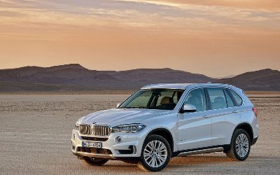 toni53858761's profile picture. fun