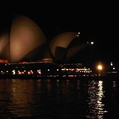 LingYulianti's profile picture. like