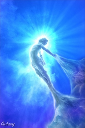 CiervoDelCielo's profile picture. 