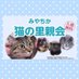 みやちか猫の里親会 (@miyamamacat) Twitter profile photo みやちか猫の里親会 (@miyamamacat) Twitter profile photo