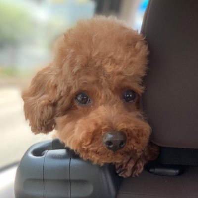 mancsk's profile picture. 