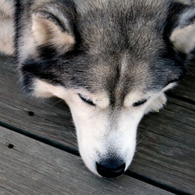 Hox そっかそっか ふーん 本当に Hox そっかそっか ふーん 本当に