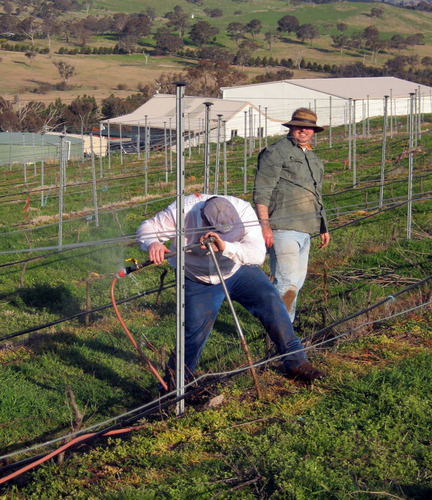 Canberra wine producer, making Ancestral method sparkling wines, as well as Fiano & Sagrantino table wines. Tweets by Paul Starr.