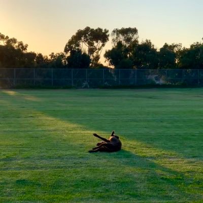 Lolajane's profile picture. 