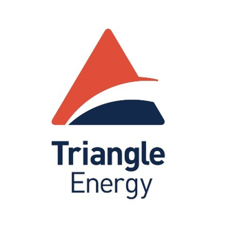 Triangle_Energy Profile Picture