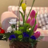 Chien Yu Huang (@chienyuhuang4) 's Twitter Profile