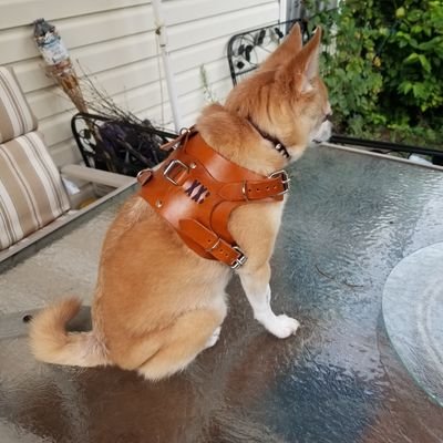 DoriAndDottie's profile picture. Handcrafted Leather products!